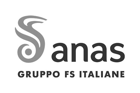 ANAS logo